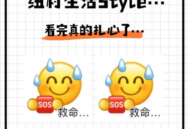 🐑超真实新西兰生活方式，留子看完扎心…|新西...
