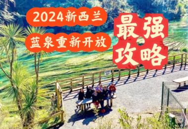 新西兰蓝泉重开放最强攻略，如何才能免费薅|新...