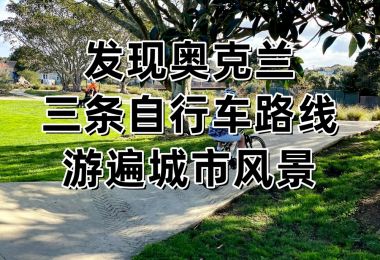 三条适合家庭骑行的自行车路线推荐|新西兰指南