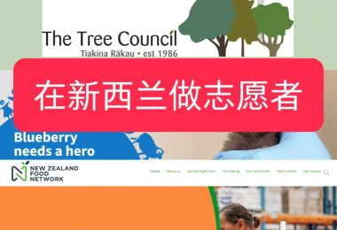 新西兰志愿者活动推荐：为社区贡献力量的机会|...