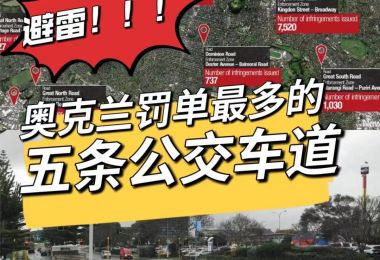 奥克兰最严罚款公交车道汇总|新西兰指南