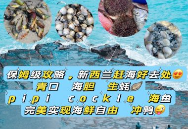 奥克兰最佳免费捡海鲜海滩推荐