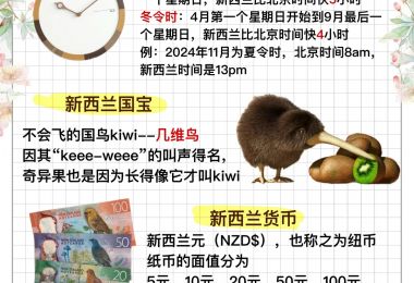 新西兰旅游攻略：实用提示与信息