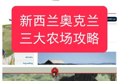 探访奥克兰三大热门农场，亲子游的理想选择