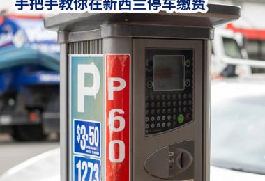 新西兰自驾停车攻略