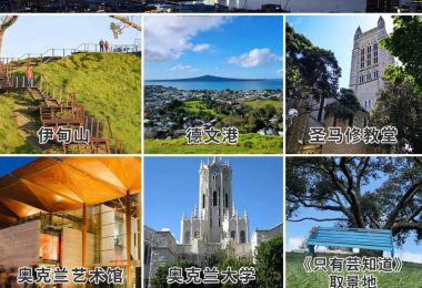 探索奥克兰的十大必访景点