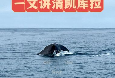 凯库拉旅游必去体验