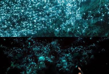 探秘怀托摩萤火虫洞