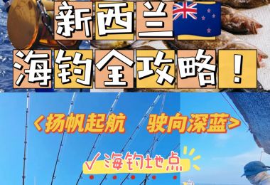 新西兰海钓攻略：留学生的钓鱼乐园