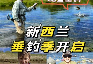 钓鱼季节正式开启，畅享新西兰的钓鱼乐趣