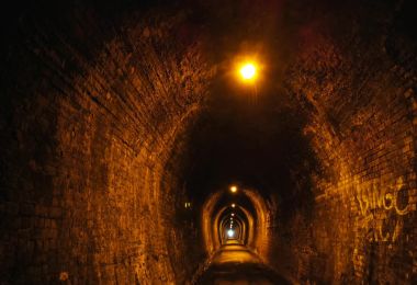 Karangahake Gorge：探索19...