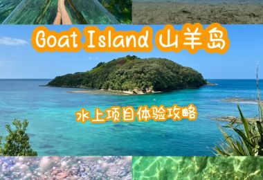 奥克兰山羊岛海洋保护区浮潜和划Clearya...