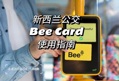 新西兰公交Bee Card使用指南