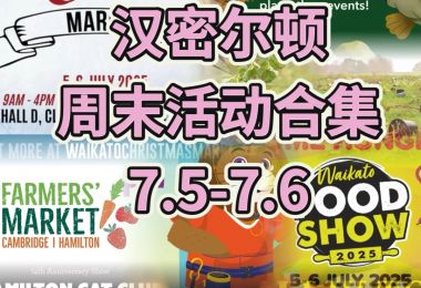 汉密尔顿周末活动7.5-7.6